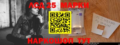 гидропоника Шелехов